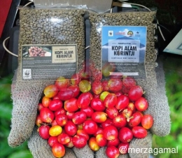 Image Kerinci Single Origin Coffee (Gambar diolah penulis dari Bisnis.com )