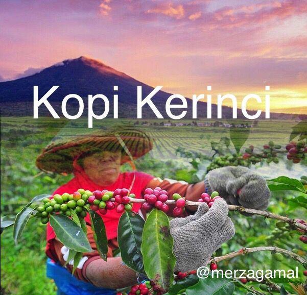 Image Kopi Kerinci (Gambar diolah penulis dari ANTARA FOTO/Wahdi Septiawan/hp dan &nbsp;www.swiss-belhotel.com)