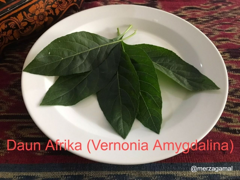 Image: Daun Afrika senantiasa terhidang sebagai lalapan di meja makan untuk kesehatan keluarga (Photo by Merza Gamal)