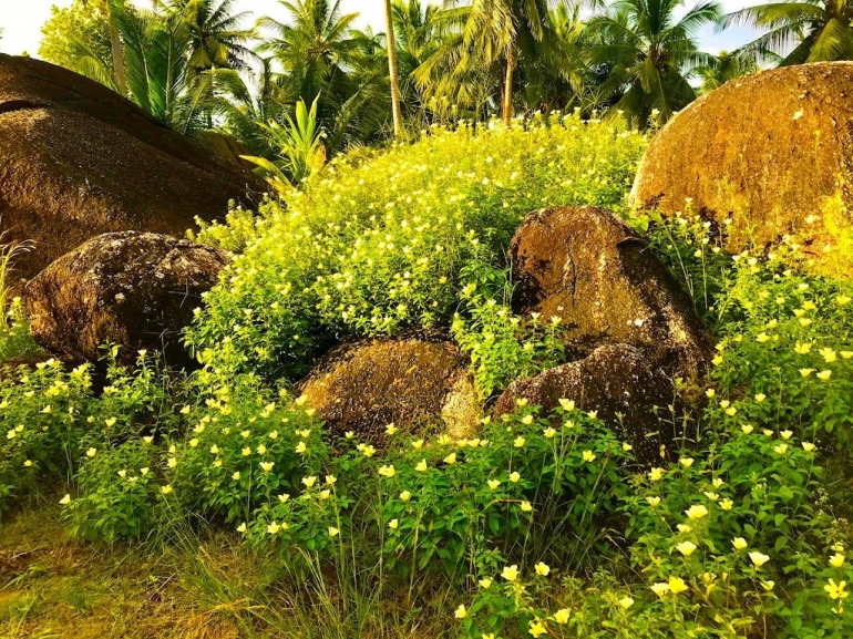 Image by Merza Gamal (Lokasi: Natuna Dive Resort)