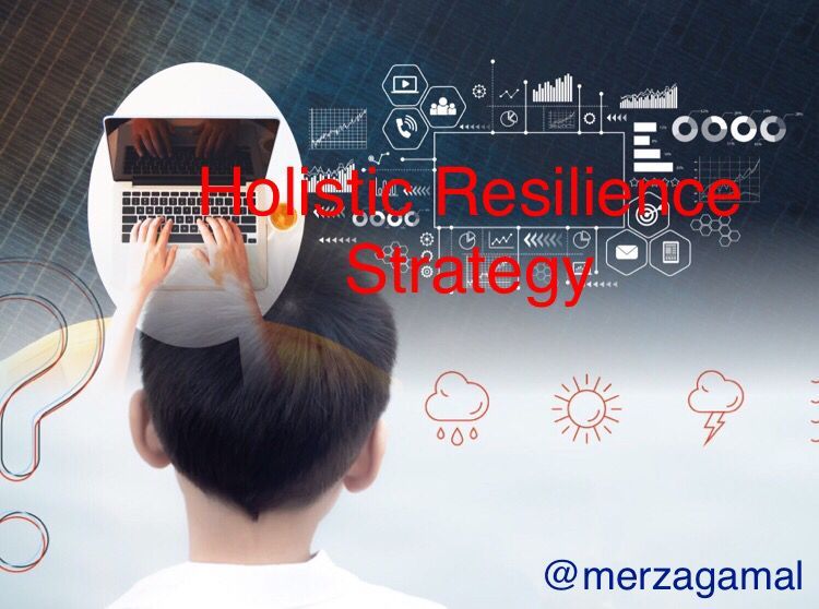 Image: Holistic Resilience Strategy  (by Merza Gamal)