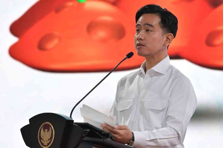 Jangan Gegabah Mendorong Pemakzulan Wapres Gibran