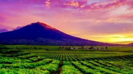 Image: Panorama Gunung Kerinci ( www.swiss-belhotel.com)